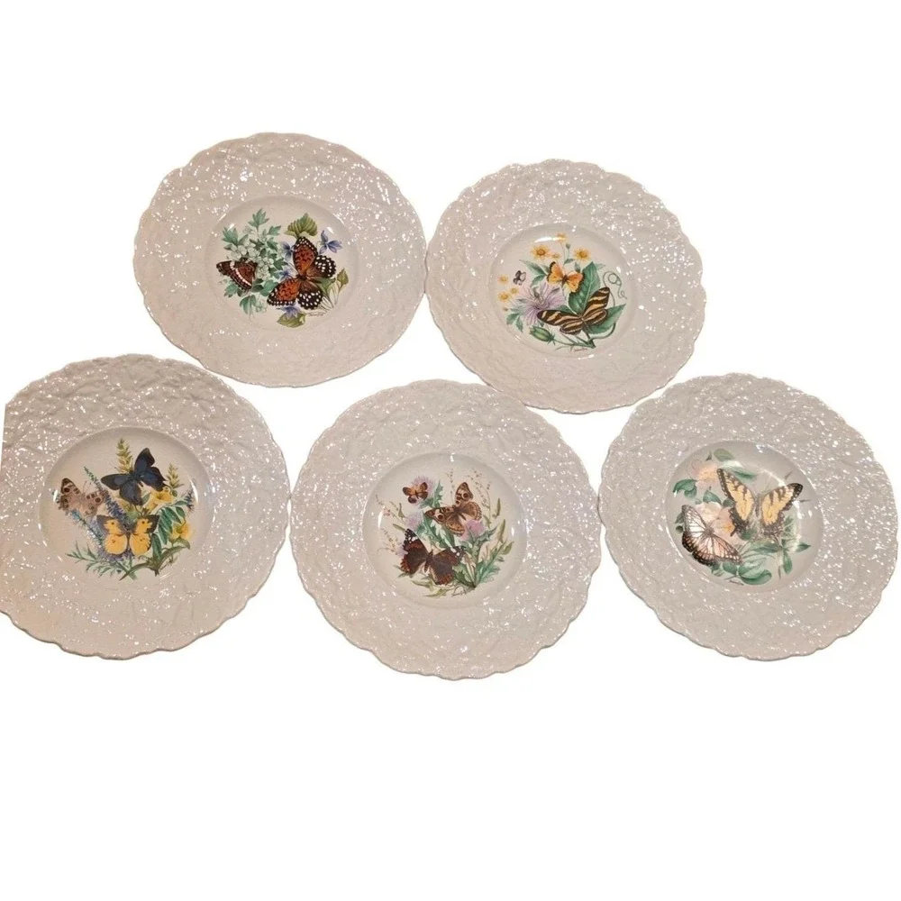 Royal Cauldon Bristol Porcelain Plates‎ Set of 5 Holmes Gray Butterfly Designs